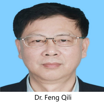 Qili Feng